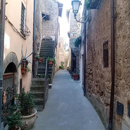Sacrobosco Quercia * Bomarzo